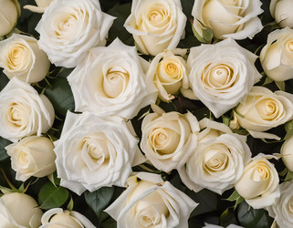 Similar image 22119380