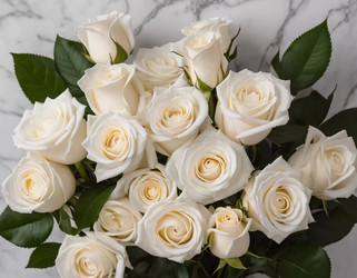 Similar image 22119460