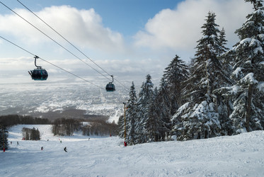 Similar image 22109960