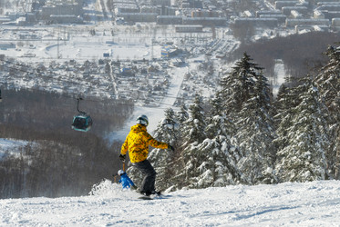 Similar image 22109963