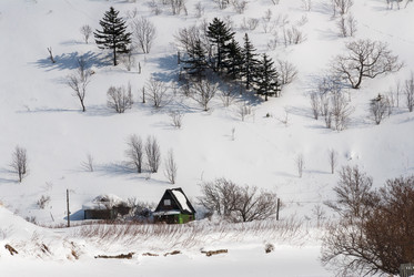 Similar image 22109977