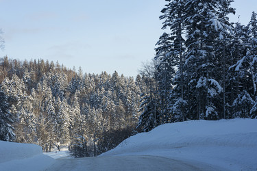 Similar image 22109979