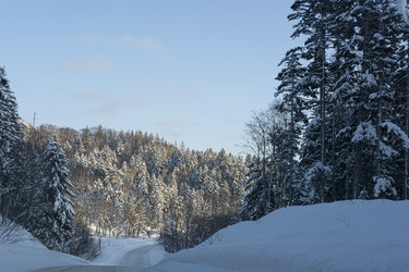 Similar image 22109980