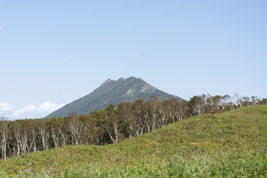 Similar image 22109982