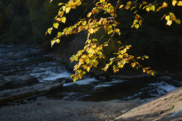 Similar image 22109990