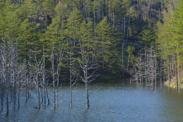 Similar image 22110000