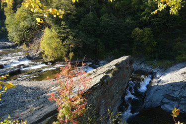 Similar image 22110065