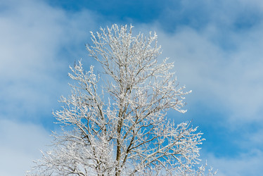 Similar image 22095266