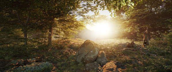 Similar image 22106193