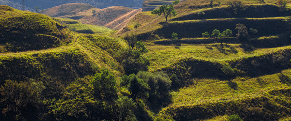 Similar image 22106296