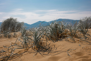 Similar image 22106302