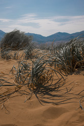 Similar image 22106303