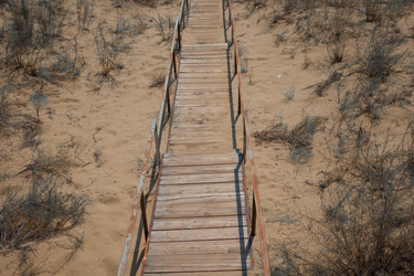 Similar image 22106312