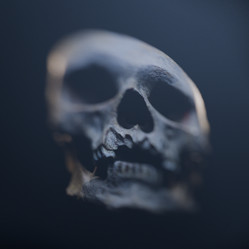 Similar image 22106313