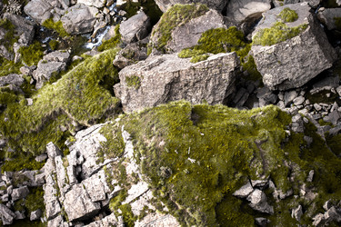 Similar image 22106316