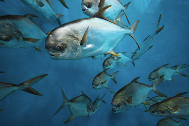 Similar image 22106317