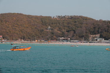 Similar image 22100129