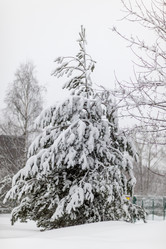 Similar image 22095287