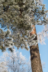 Similar image 22094800