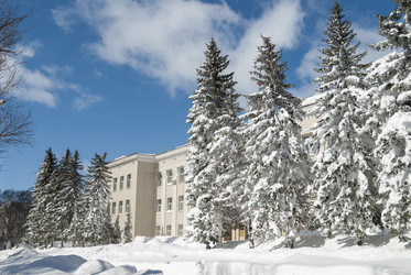 Similar image 22110070