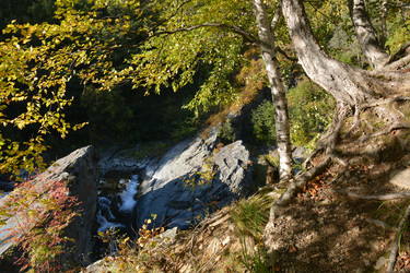 Similar image 22110074