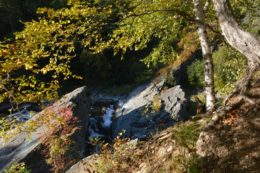 Similar image 22110076