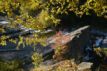 Similar image 22110078