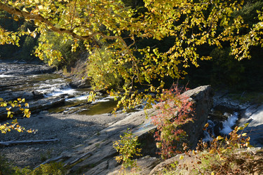 Similar image 22110080