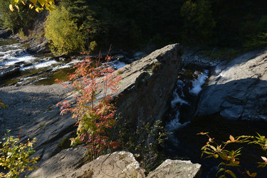 Similar image 22110086