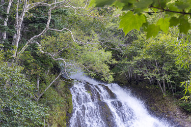 Similar image 22110089