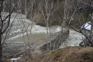 Similar image 22110092