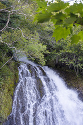 Similar image 22110094