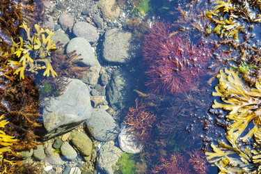 Similar image 22110103