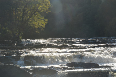 Similar image 22110107