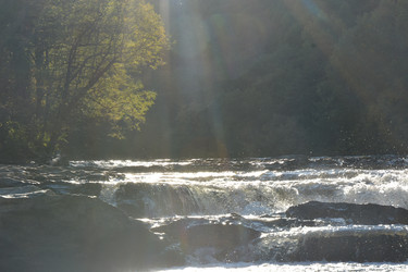 Similar image 22110108