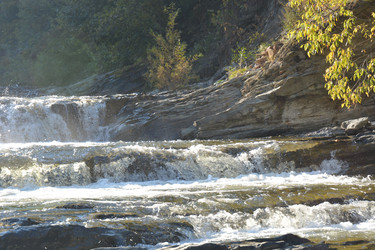 Similar image 22110112