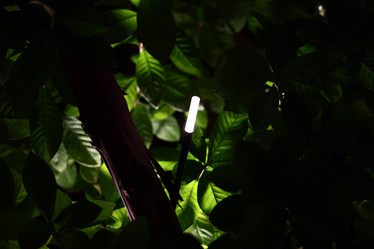 Similar image 22099662