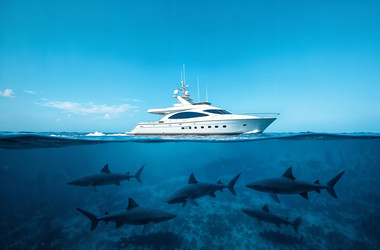 Similar image 22096394