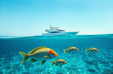 Similar image 22096408