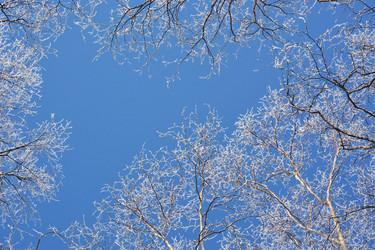 Similar image 22108942