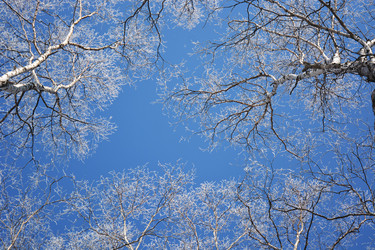 Similar image 22108943