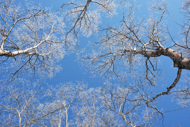 Similar image 22108944