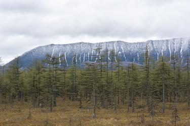 Similar image 22109697