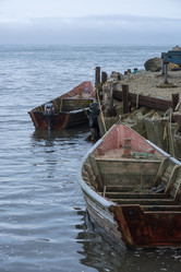 Similar image 22109699