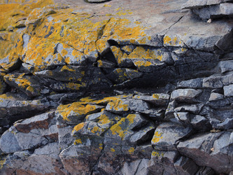 Similar image 22109721