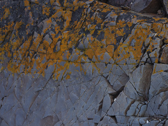 Similar image 22109724