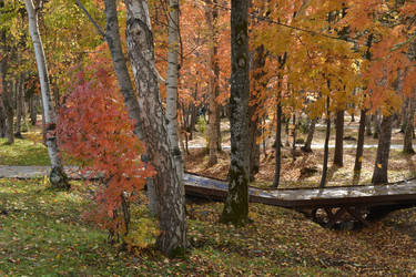 Similar image 22108950