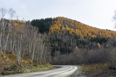 Similar image 22108956