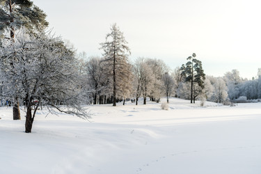 Similar image 22095122