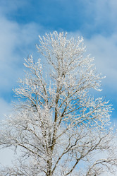 Similar image 22095139